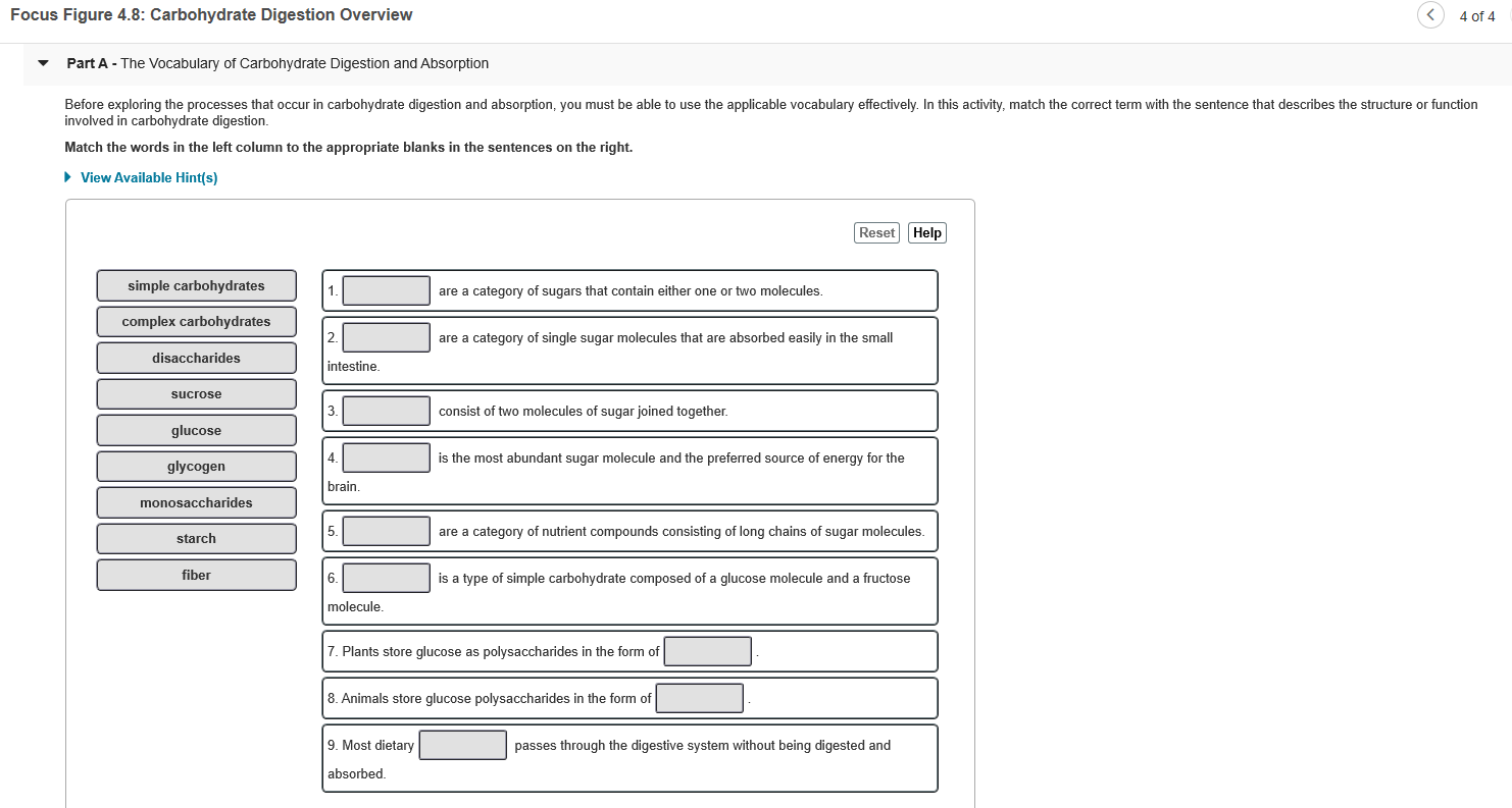 Solved Focus Figure 4 8 Carbohydrate Digestion Overview 4 Chegg Com