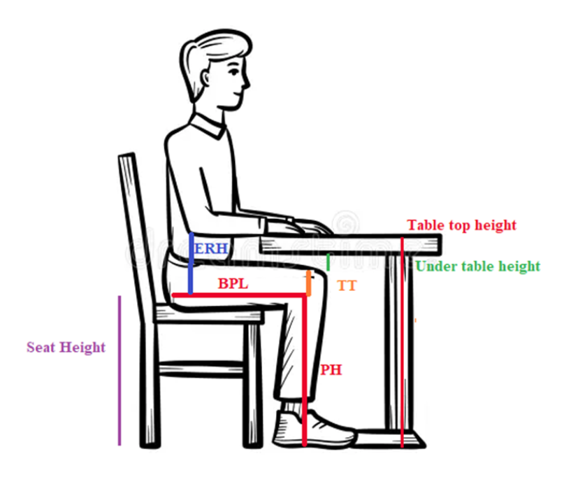 You are an ergonomics consultant working at a | Chegg.com