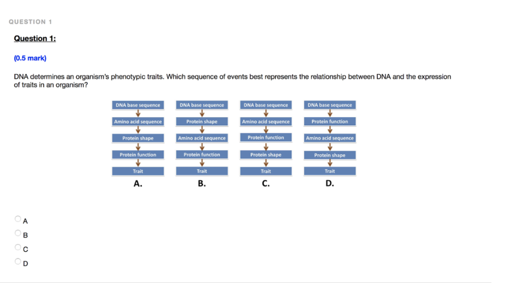 how-does-dna-determine-the-traits-of-an-organism-worksheet-worksheets