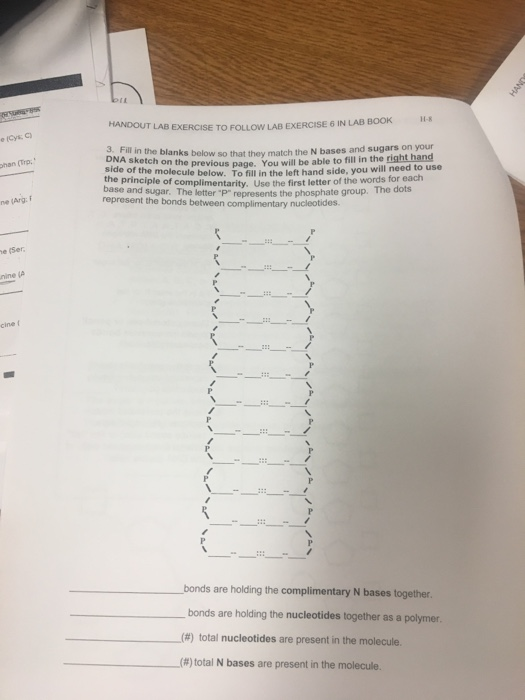 Solved HANDOUT LAB EXERCISE TO FOLLOW LAB EXERCISE 6 IN LAB | Chegg.com