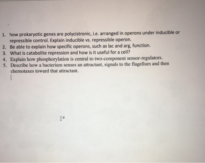 solved-1-how-prokaryotic-genes-are-polycistronic-i-e-chegg