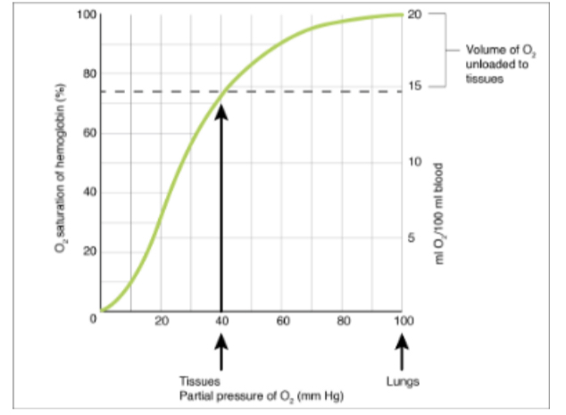 Solved 'Comparing The Hb Saturation At POz Of 100mmg And POz | Chegg.com