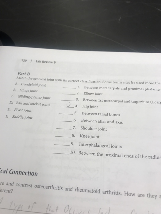 Solved Part A Match The Joint Movement With Its Correct | Chegg.com