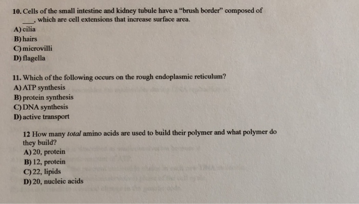 Solved 10. Cells of the small intestine and kidney tubule | Chegg.com