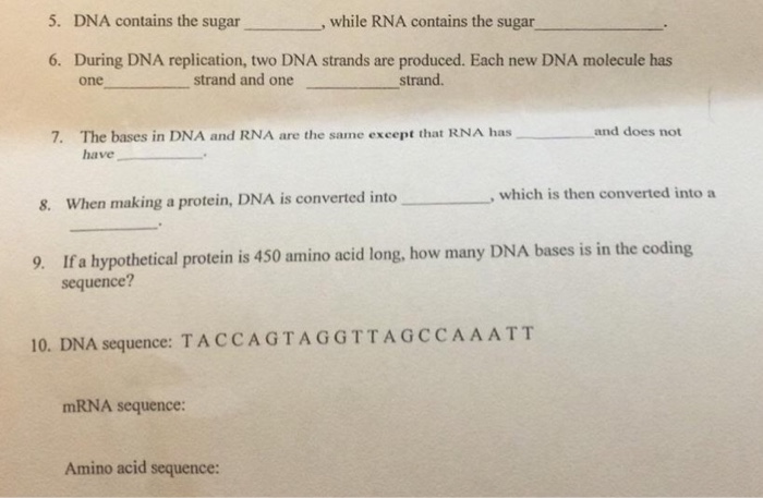 Solved 5. DNA contains the sugar , while RNA contains the | Chegg.com