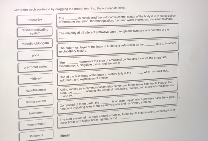 Solved Complete each sentence by dragging the proper term | Chegg.com