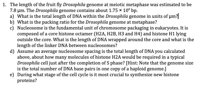 Solved 1. The length of the fruit fly Drosophila genome at | Chegg.com