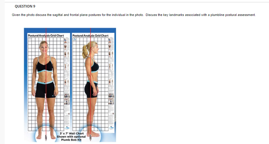Solved QUESTION 9 Given the photo discuss the sagittal and | Chegg.com