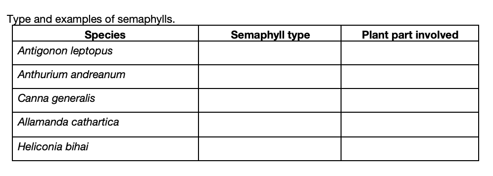 Solved Megasporogenesis Comparison of spore formation in | Chegg.com