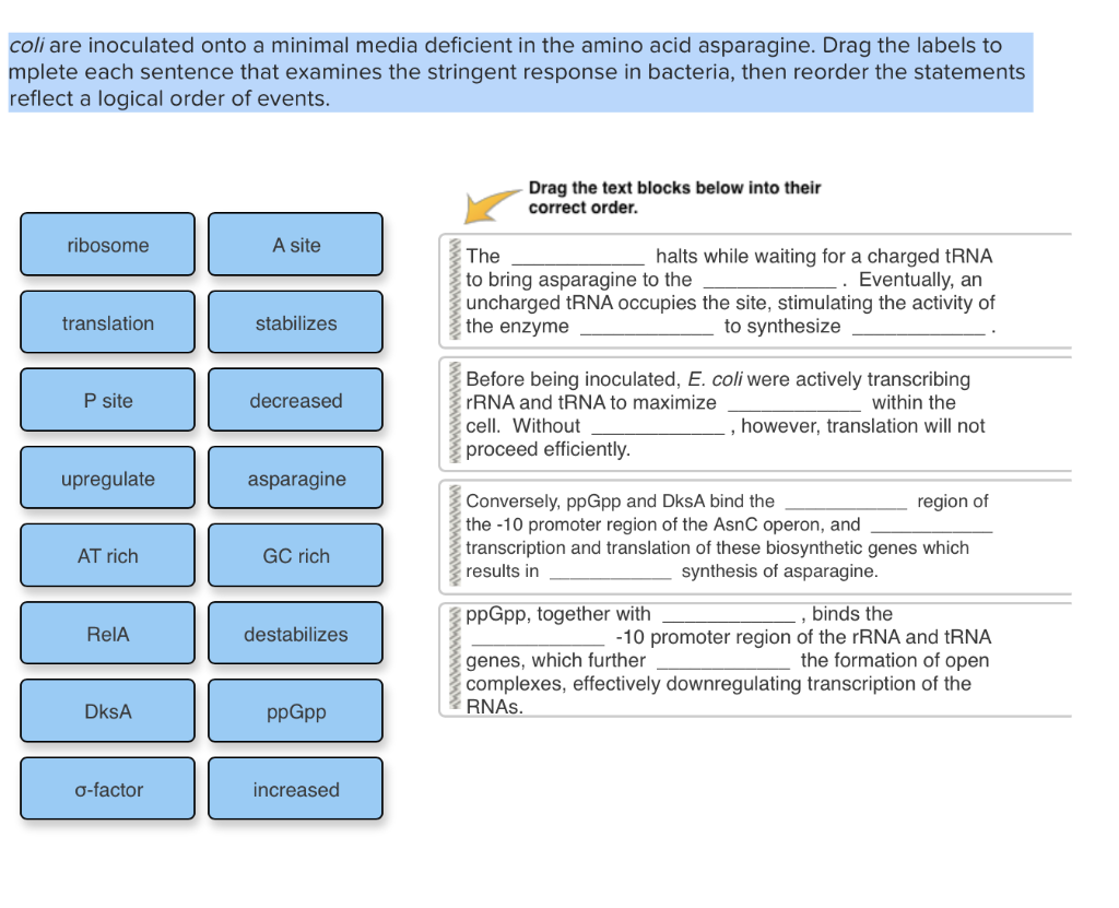 Solved Drag the labels to complete each sentence that | Chegg.com