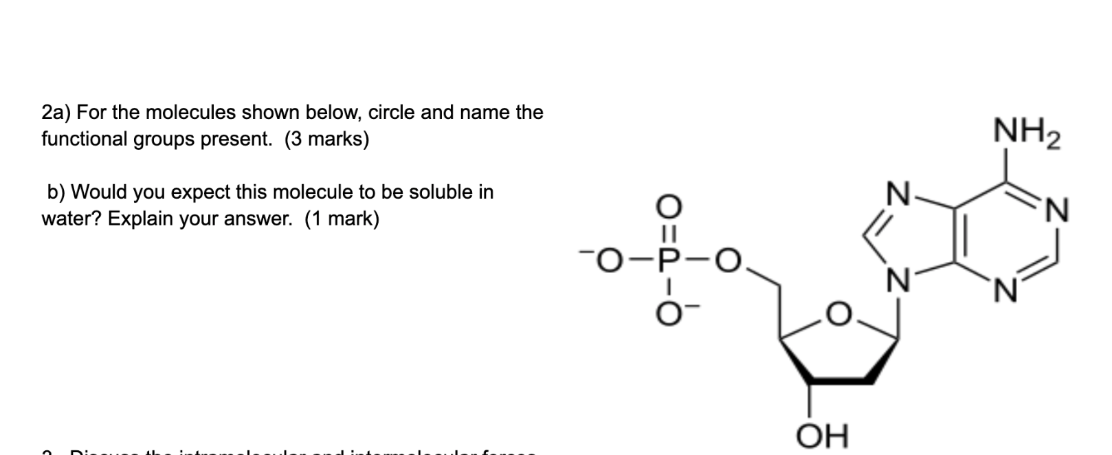 Solved 2a) For the molecules shown below, circle and name | Chegg.com