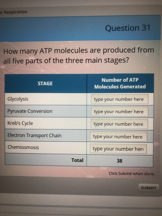 Solved How many atp molecules are produced from all five