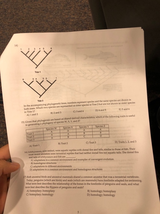 Solved 14) Tree 1 543 2 Tree 2 in the accompanying | Chegg.com