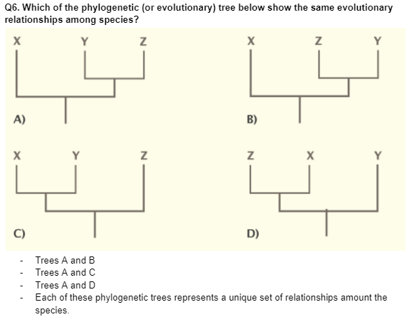 Solved Q6. Which of the phylogenetic (or evolutionary) tree | Chegg.com
