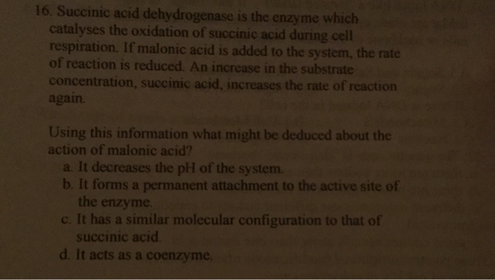 succinic acid dehydrogenase experiment