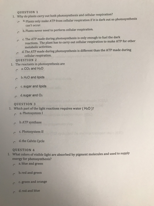 Solved QUESTION 1 Why do plants carry out both