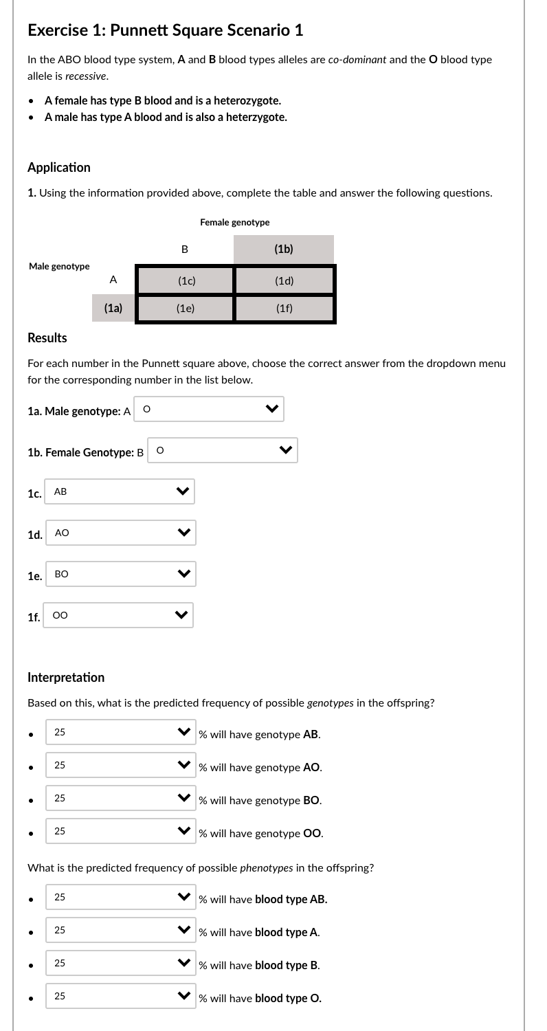 Solved Exercise 1: Punnett Square Scenario 1 In the ABO | Chegg.com