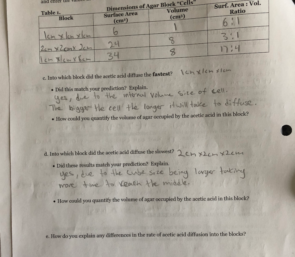 Step 2: Using a razor blade, cut three blocks from | Chegg.com