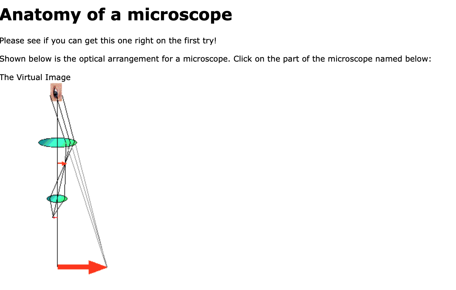 solved-anatomy-of-a-microscope-please-see-if-you-can-get-chegg