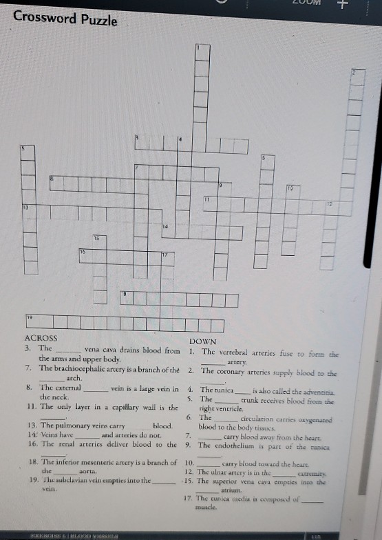 Solved 200M + Crossword Puzzle 1 TTT ACROSS DOWN 3. The vena | Chegg.com