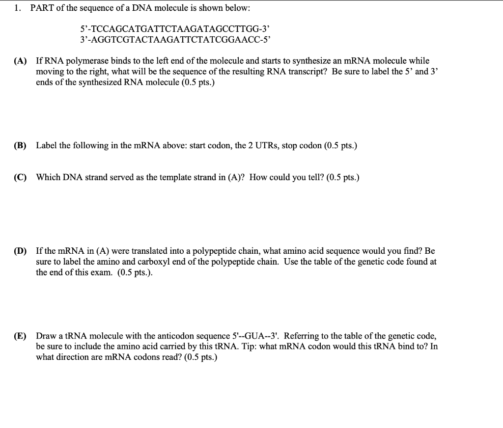 Solved 1. PART Of The Sequence Of A DNA Molecule Is Shown | Chegg.com