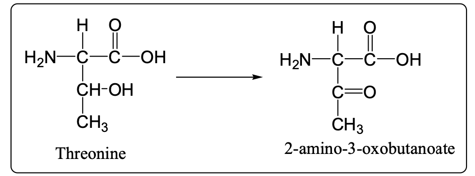 Solved 1. You obtained the following kinetic data is for the | Chegg.com