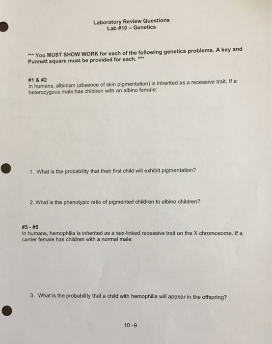 Solved Laboratory Review Questions Lab You MUST