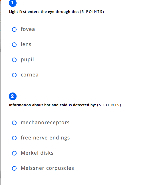 Solved Light first enters the eye through the: (5 POINTS) O | Chegg.com