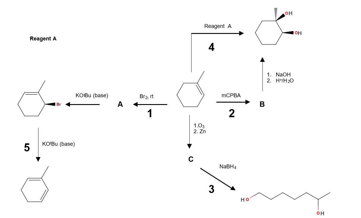 Solved Give the structures of Compounds A, B, and C. Give | Chegg.com