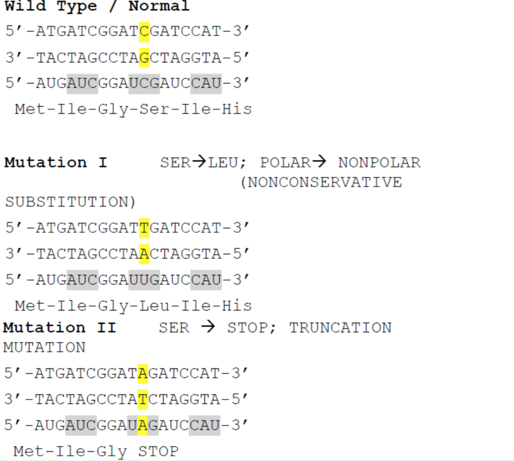 Solved A mutation is defined as a change in the sequence of | Chegg.com