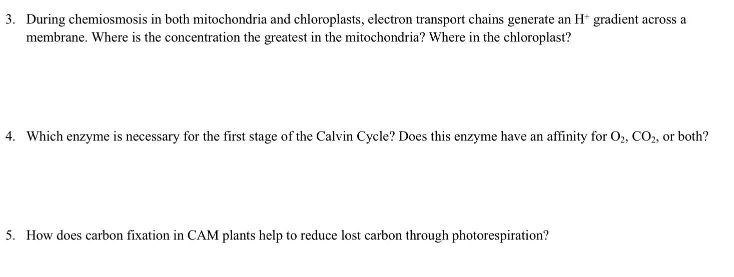 Solved During chemiosmosis in both mitochondria and | Chegg.com
