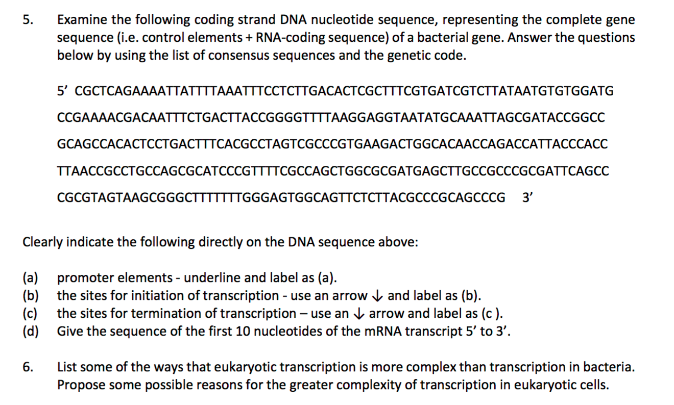 dna nucleotide sequence