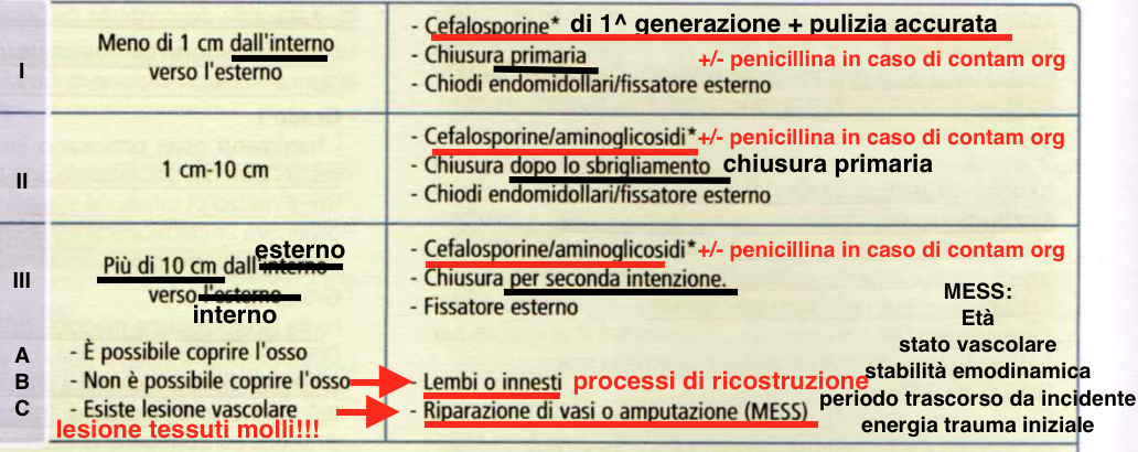 Orto Fratture E Lesioni Parti Molli Aims Flashcards Chegg Com