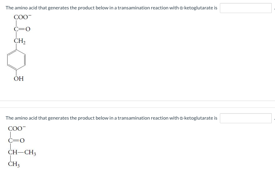 solved-which-amino-acid-generates-each-of-the-following-chegg