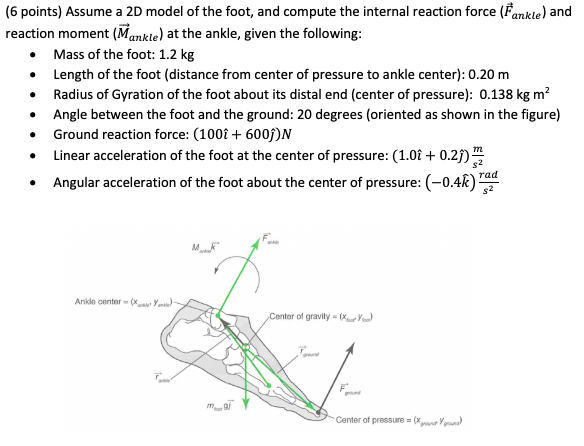 Solved (6 points) Assume a 2D model of the foot, and compute | Chegg.com
