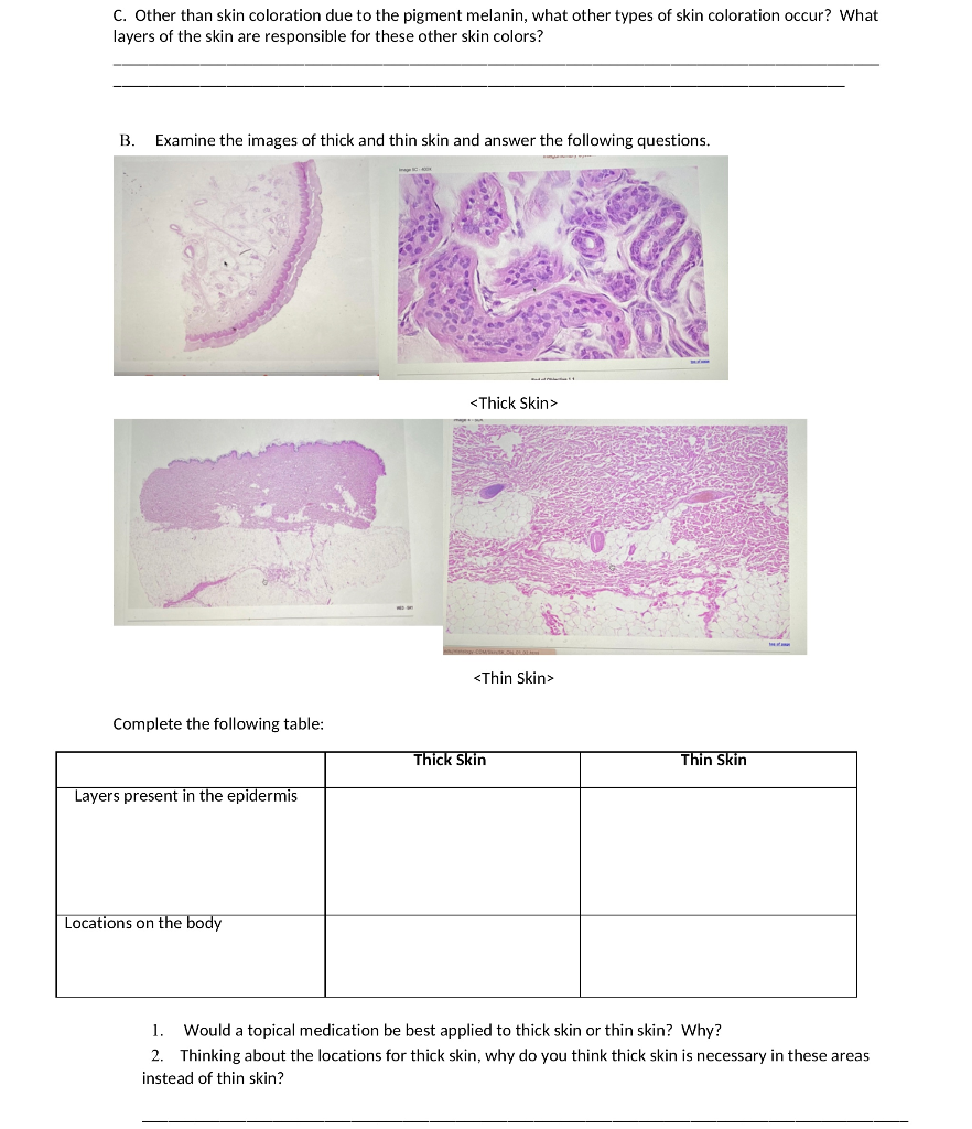 Solved C. Other than skin coloration due to the pigment | Chegg.com