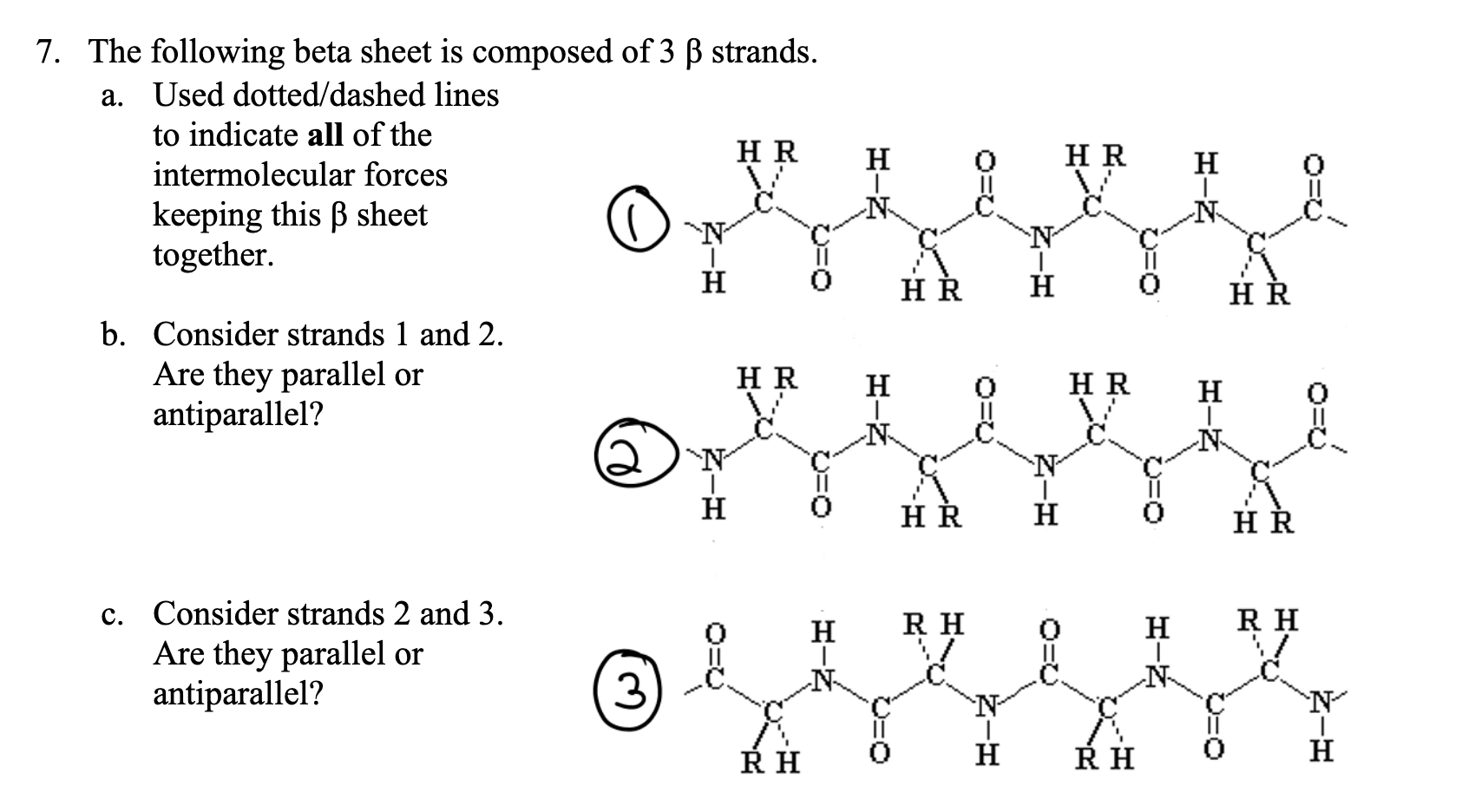 Solved H Hr H Ou N N N 7 The Following Beta Sheet Is Co Chegg Com