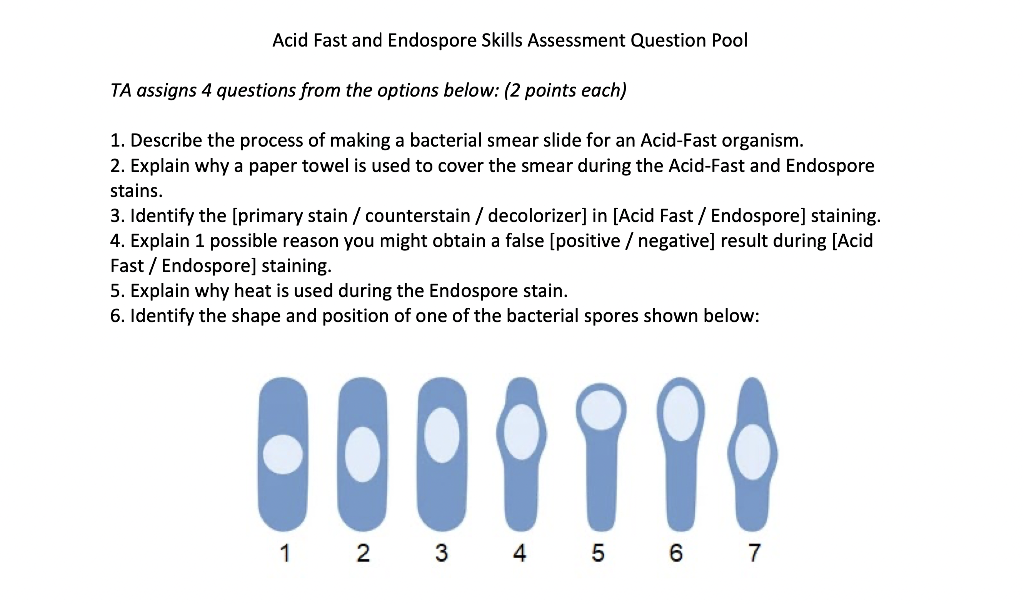 Solved Acid Fast And Endospore Skills Assessment Question | Chegg.com