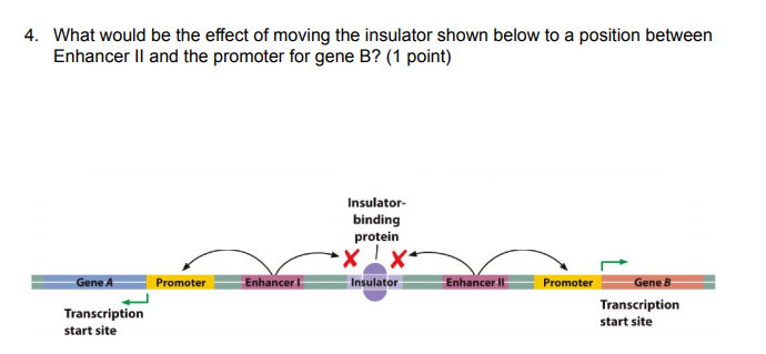 Solved 4. What would be the effect of moving the insulator | Chegg.com