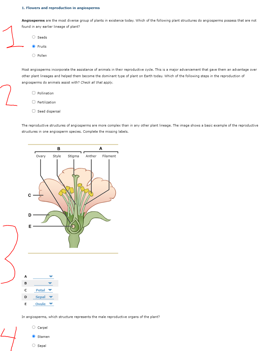 angiosperms plants list