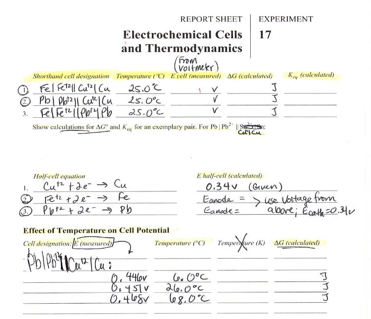 Solved REPORT SHEET EXPERIMENT Electrochemical Cells 17 and