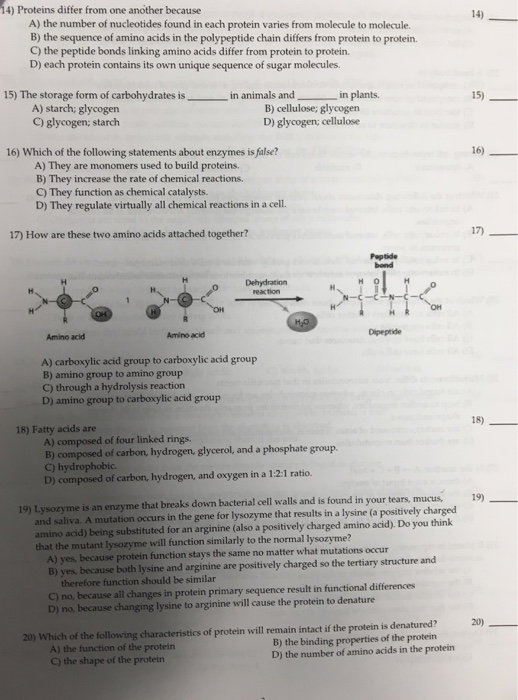 Solved Proteins differ from one another because A) the