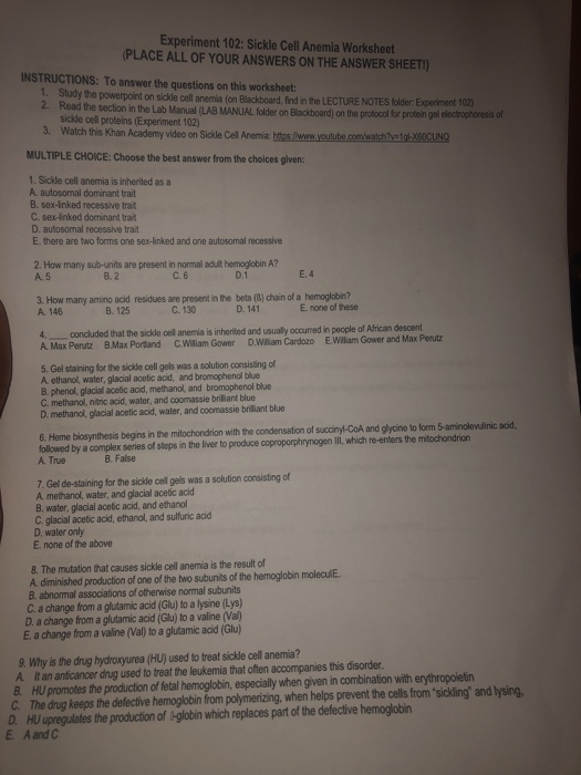 solved-experiment-102-sickle-cell-anemia-worksheet-place-chegg