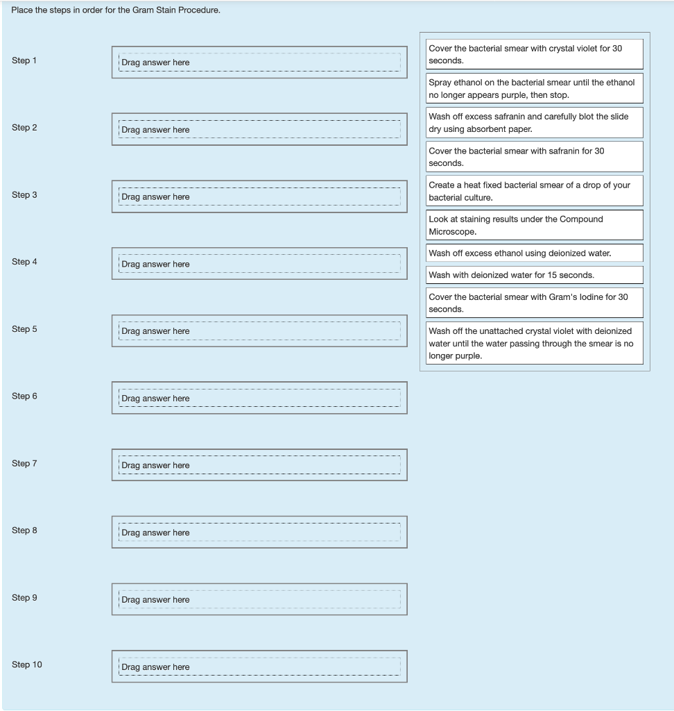 Solved Place the steps in order for the Gram Stain | Chegg.com