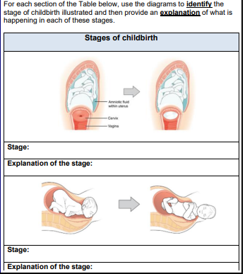 For each section of the Table below, use the diagrams to identify the stage of childbirth illustrated and then provide an exp
