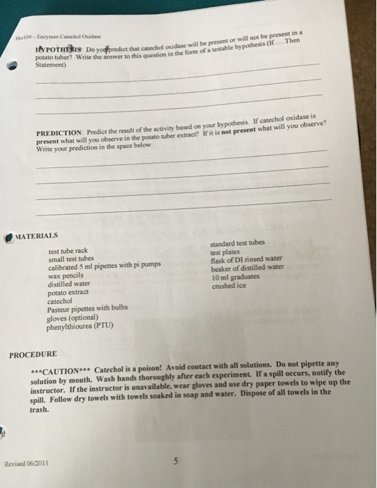 Solved ENZYMES: BIOLOGICAL CATALYSTS INTRODUCTION Of all the | Chegg.com