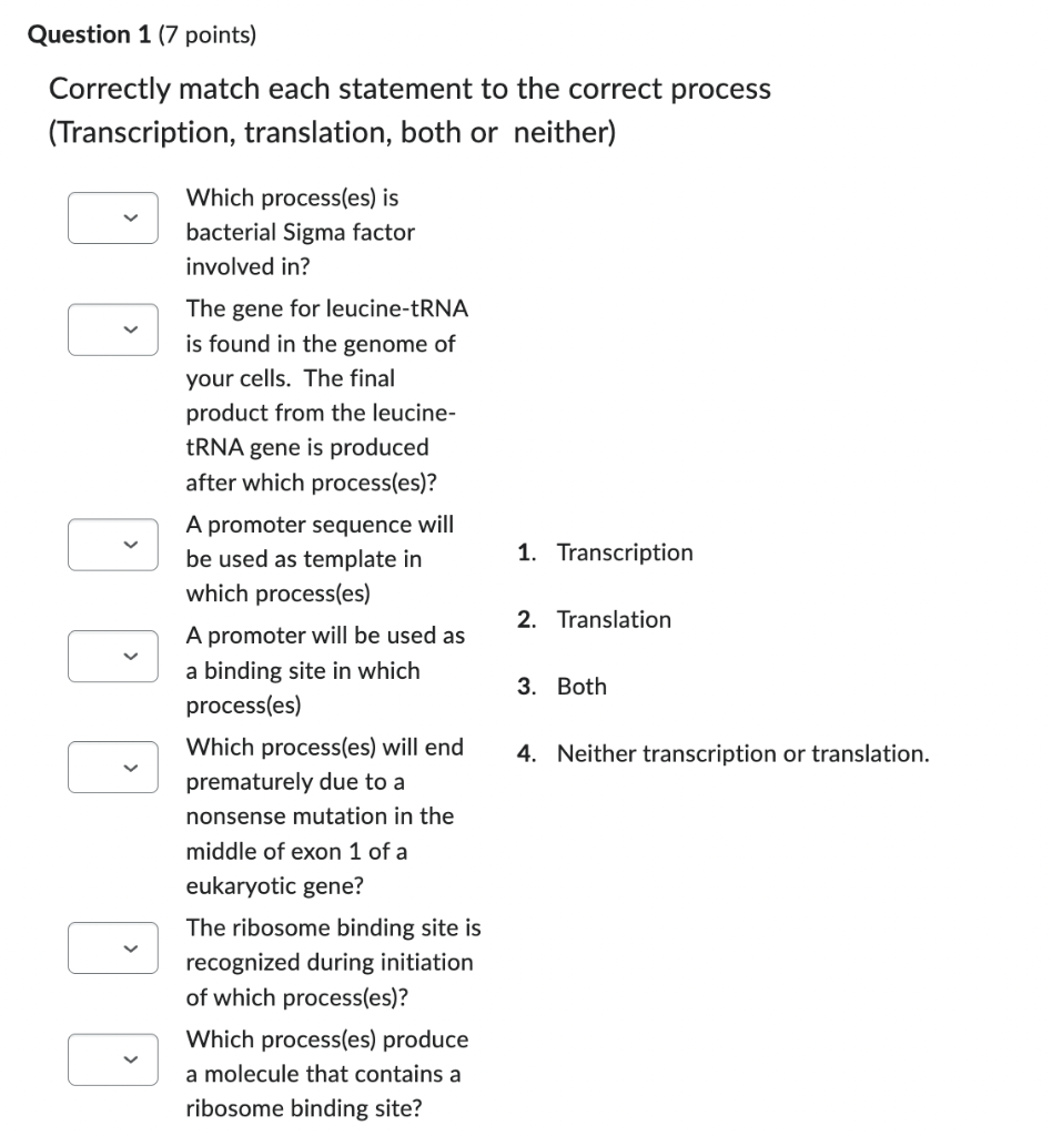 Correctly match each statement to the correct process
(Transcription, translation, both or neither)
Which process(es) is
bact