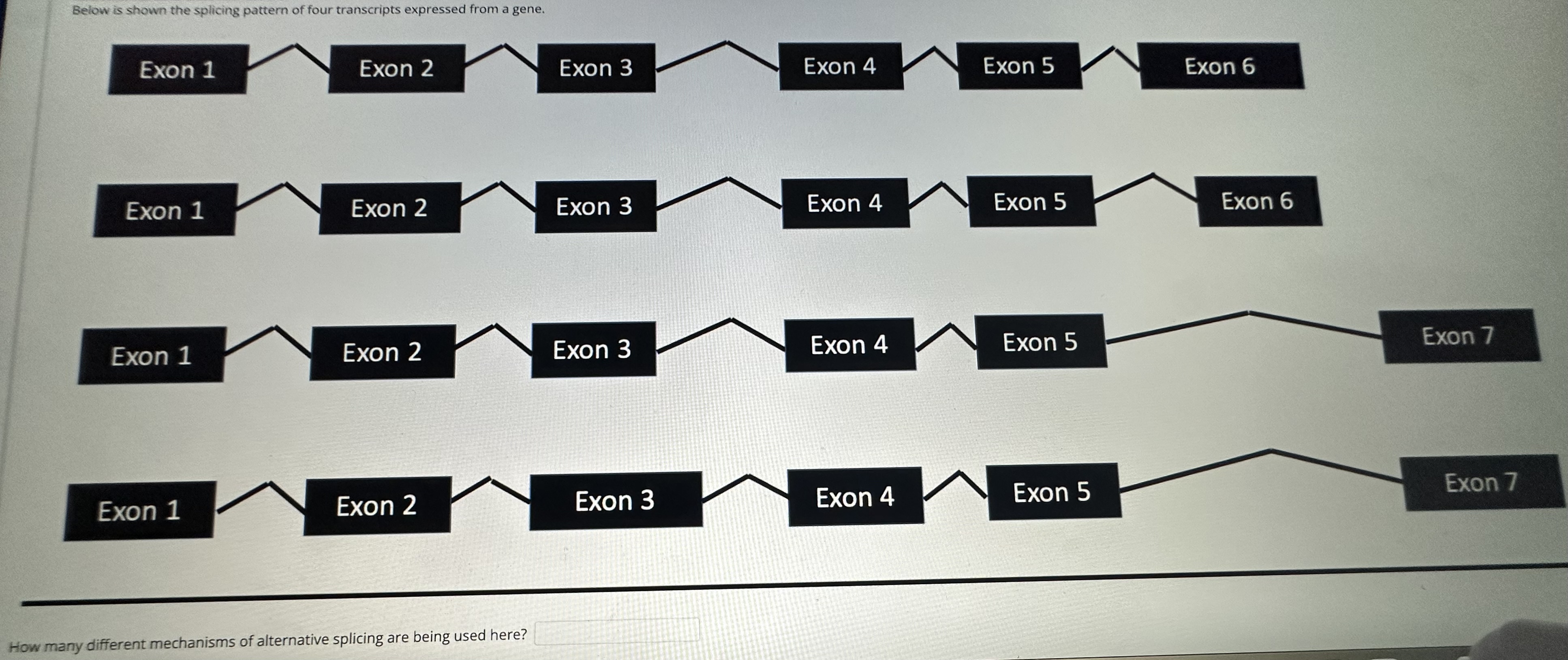 Solved 10 | Chegg.com