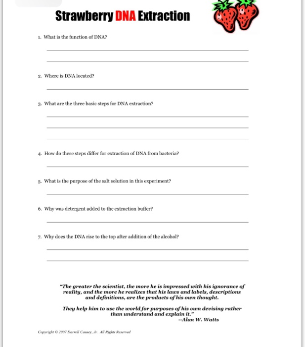 strawberry-dna-extraction-worksheet-answers-free-download-qstion-co