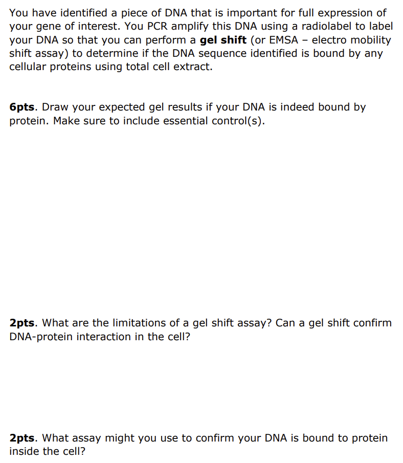 Solved You have identified a piece of DNA that is important | Chegg.com